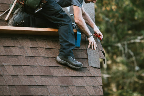 Best Slate Roofing  in Ocoee, FL